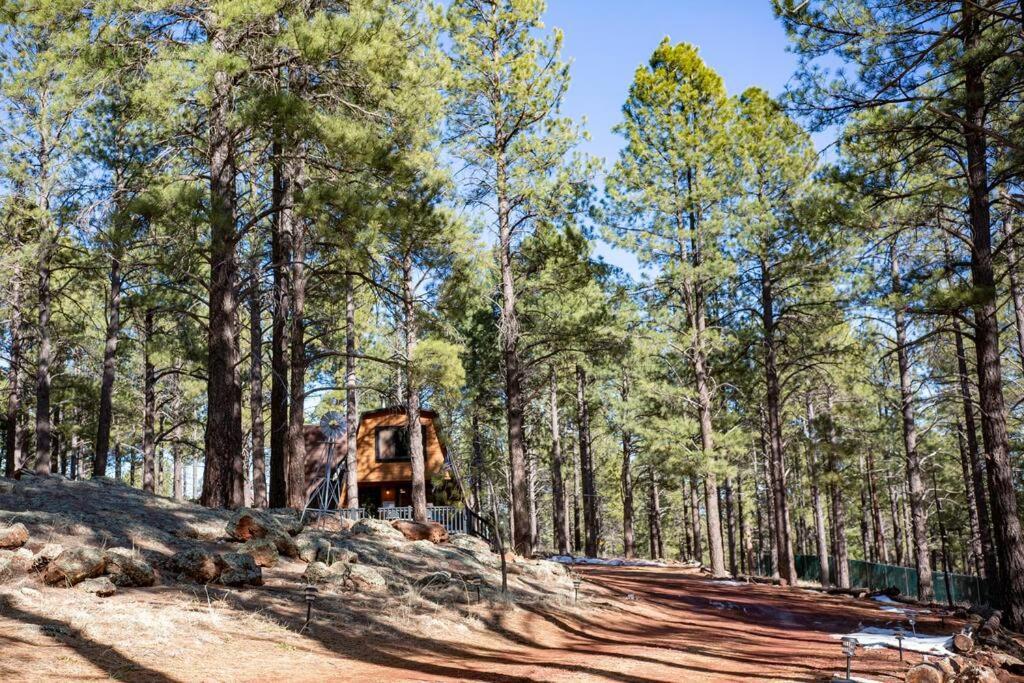 Grand Canyon Cabin! One Hour And 10 Minutes To The South Entrance! Williams Ngoại thất bức ảnh
