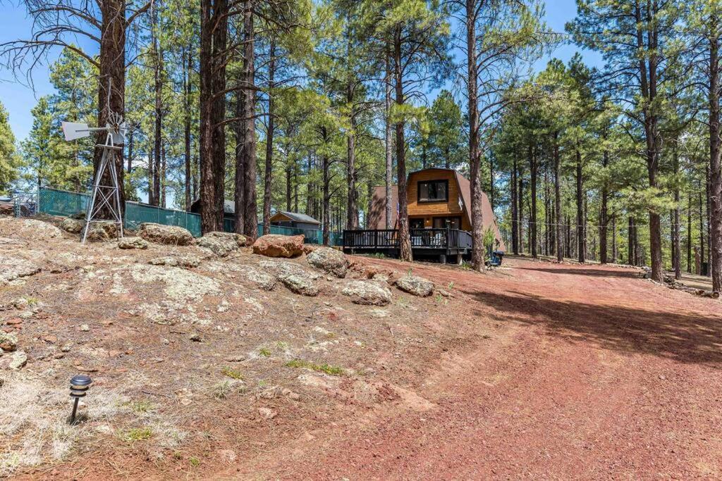 Grand Canyon Cabin! One Hour And 10 Minutes To The South Entrance! Williams Ngoại thất bức ảnh