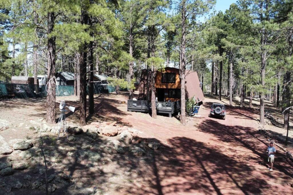 Grand Canyon Cabin! One Hour And 10 Minutes To The South Entrance! Williams Ngoại thất bức ảnh